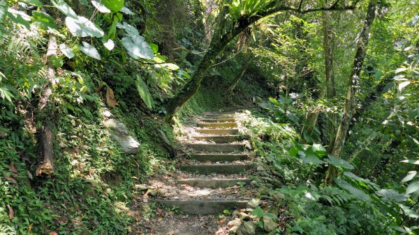 福山部落,內洞森遊區2552415