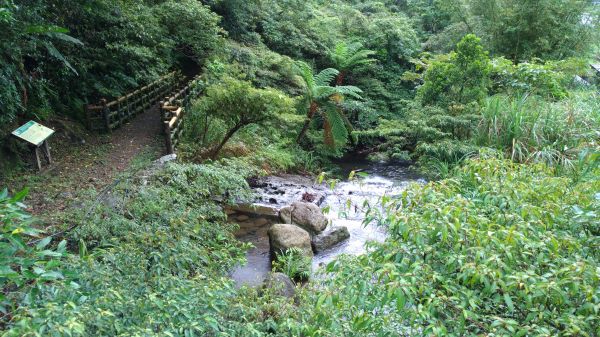 起大霧~~~無大景的五分山!185990