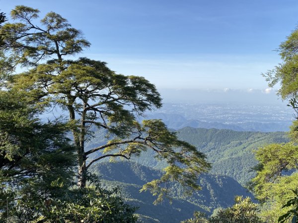 20191109 二訪內鳥嘴山+北得拉曼763555