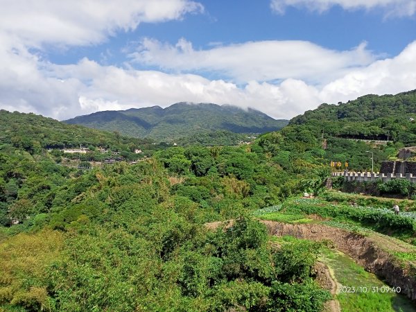 半嶺步道、松溪瀑布、橫嶺古道、湖山綠地【發現陽明山、走路趣尋寶】2332857