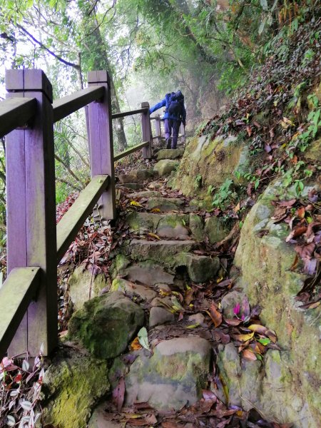 台南東山~山上尋悠。 #65小百岳崁頭山915984