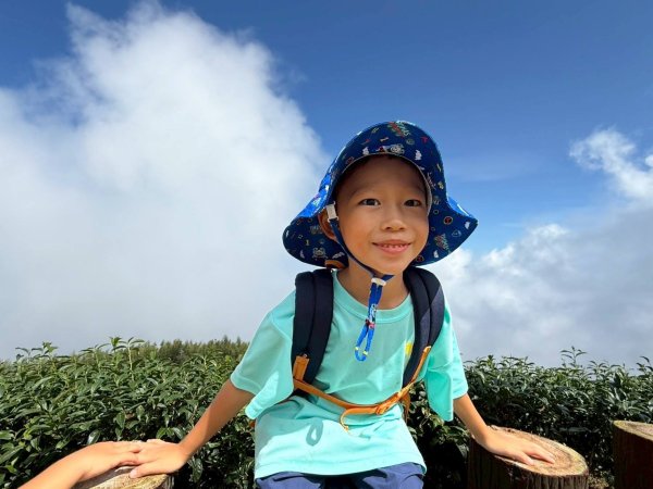 🌈17（日）雲嶺之丘+五元二角+木馬古道✨FB：熊熊趴爬走🌈2861689