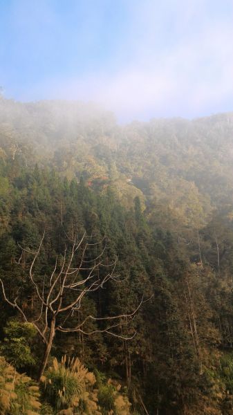 嘉南雲峰、石壁山101613