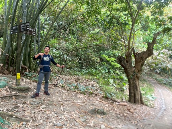 田中森林步道.赤水崎步道.龍過脈步道【都是友善石虎的好地方!!】2766680