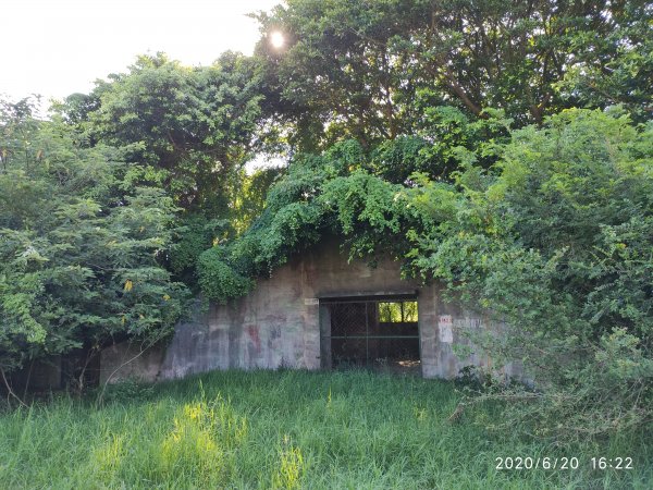 大甲區鐵砧山登山步道(日光牧場)1038984