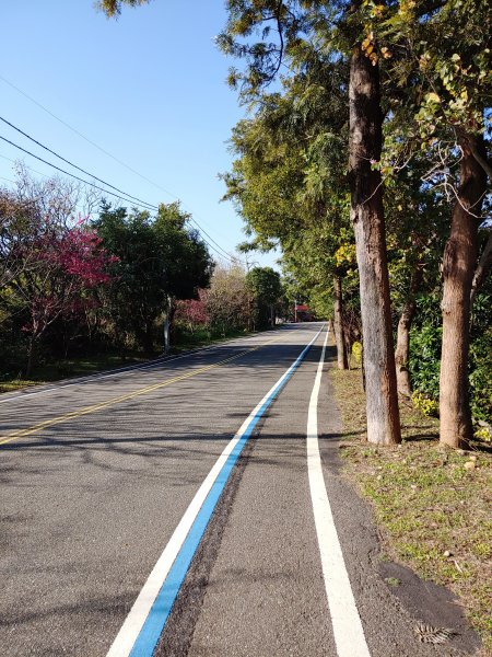 20200131鐵砧山登山步道819388