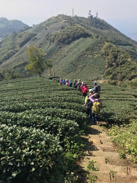 梨子腳山步道252231