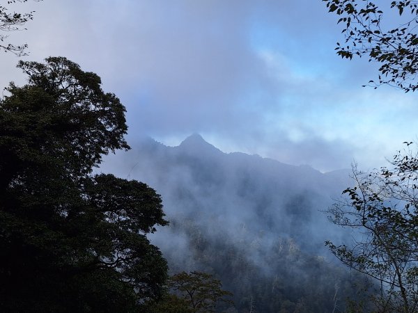 大雪山森林遊樂區之烏石坑山+山椒山(210林道)202401102400533