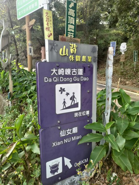 【新竹縣橫山鄉】大崎棟步道2833202