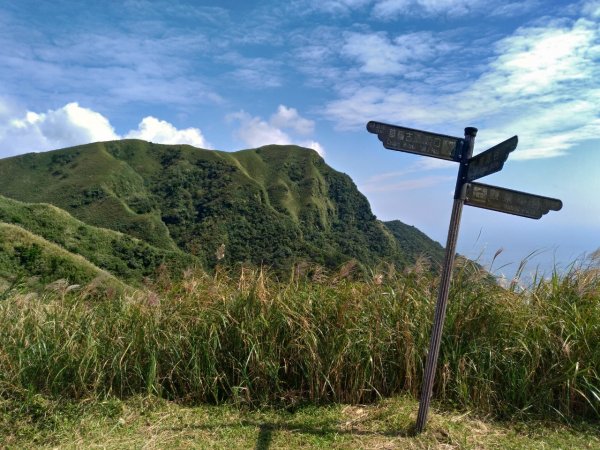 青山藍海水牛群，桃源谷＋小百岳灣坑頭山封面