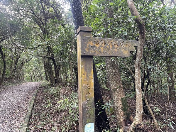 翠山步道 + 碧溪步道 + 大崙尾步道2649950