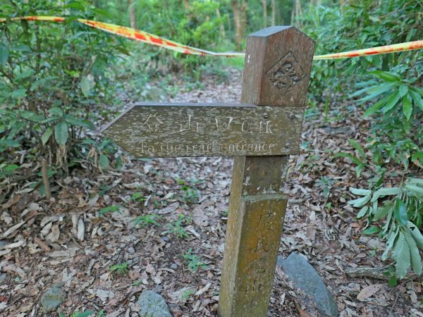 終於來登麗陽線屋我尾山2018/5/12331790