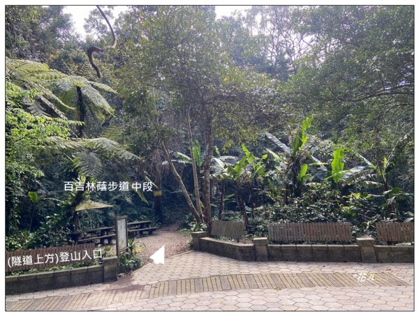 頭寮山、內湳溝山、牛角湳西南峰O型連走2738940