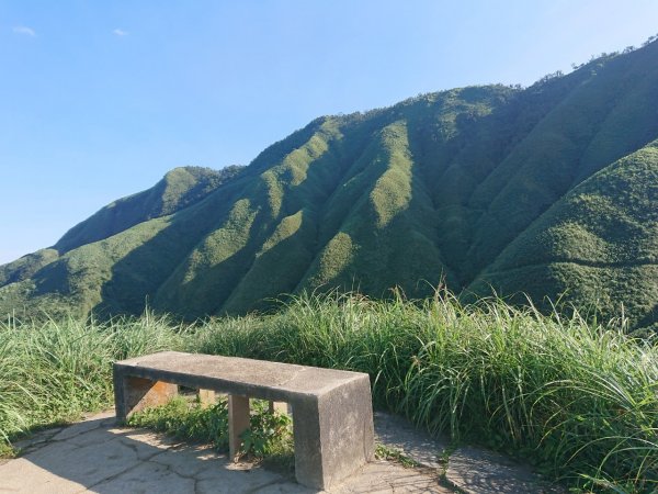 去了還想再去的抹茶山（聖母山莊）1029605