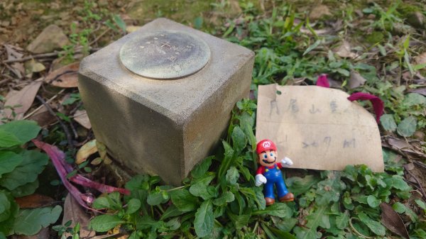 基隆東西天際線縱走(微加強版)2695566