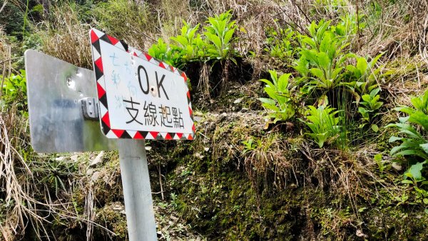 丹大林道+ 六順山+ 七彩湖2118198