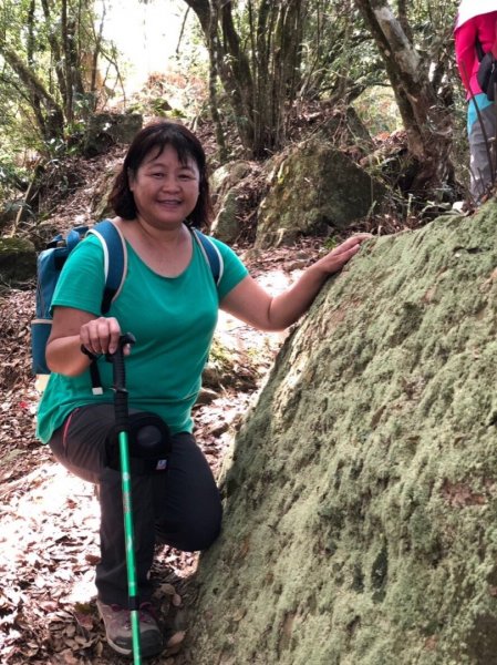 驚驚車程的九份二山之賞梅趣503672