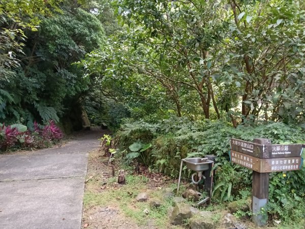 平溪區大華步道+幼坑古道+幼坑崙(大華車站-三貂嶺車站)2925170