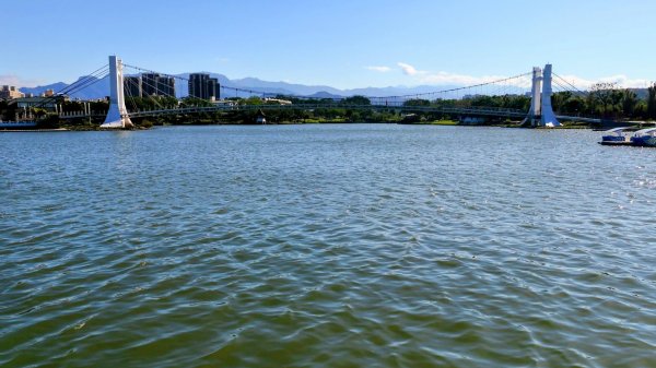 落羽松大道,龍潭大池2976190