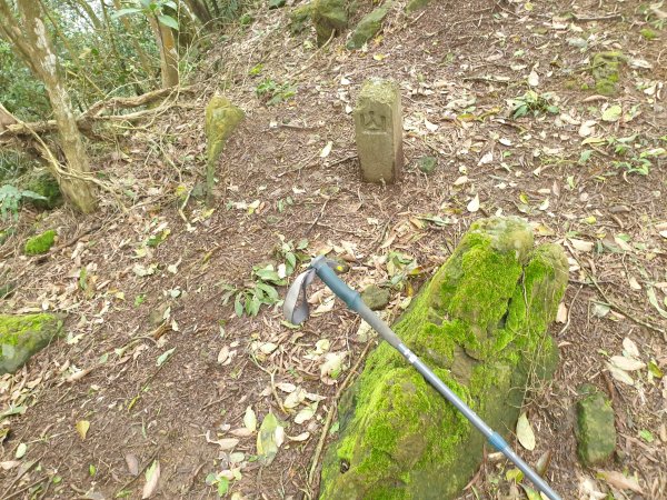 水寨下古道帽盒東山蕃子寮山1620752