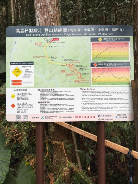 高島P型縱走-夢幻的杉林營地3012429