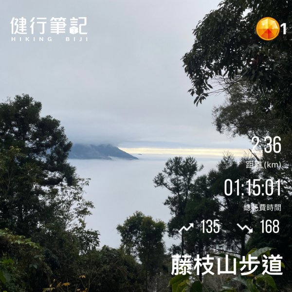 小百岳(68)-藤枝山-202212182053090