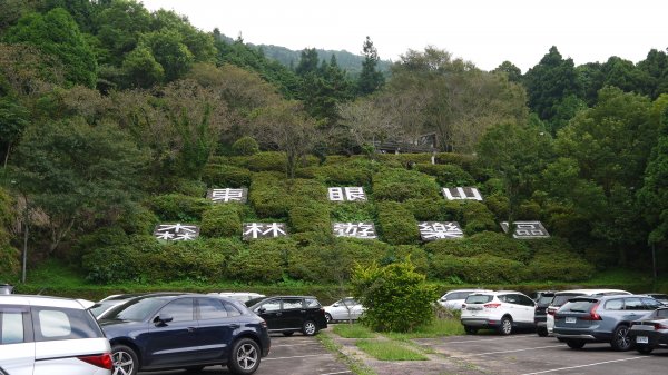 東眼山登山健行趣(小百岳22號)1544304