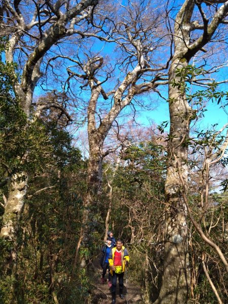 雙鳥縱走+那結山1312843