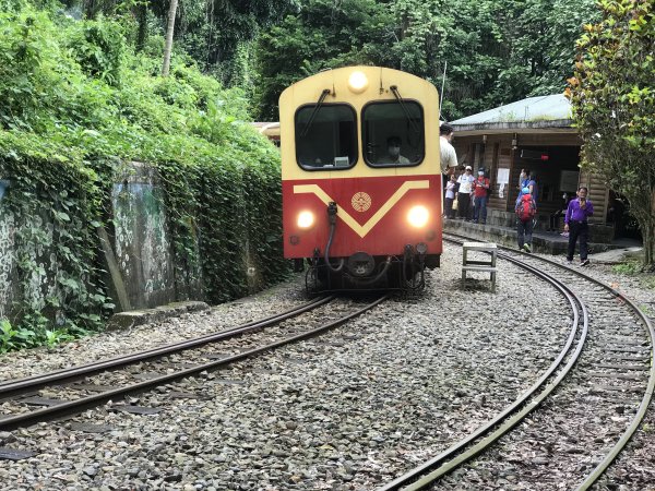 109年9月6日嘉義 獨立山步道1095641