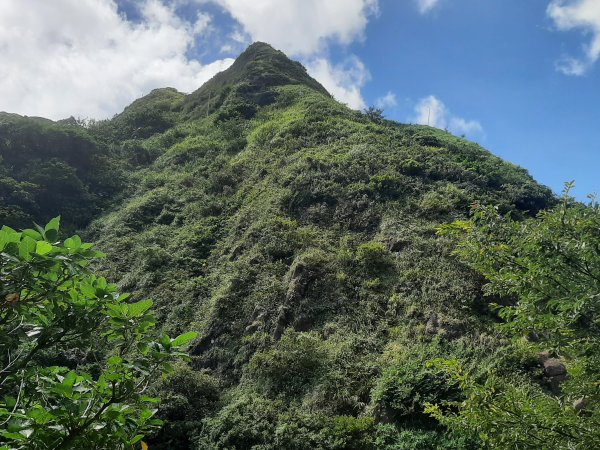 金瓜石，與奈良美智的詩意邂逅2883193