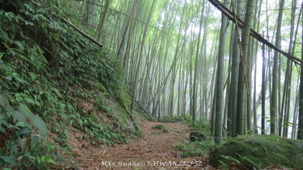 《雲林》望好望角｜石壁山嘉南雲峰步道(中側登山口）202506072805485