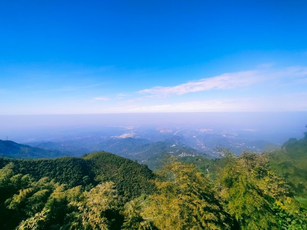雲嘉連峰2365711