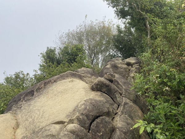 旗尾山、靈山、月光山連稜縱走2711711