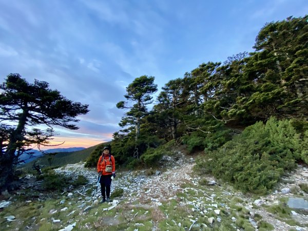 玉山後四峰--完登玉山群峰D2      2022/6/151738351