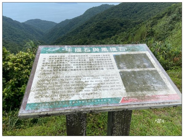 灣坑頭山(小百岳)內寮線、大溪線、草嶺線連走2529369