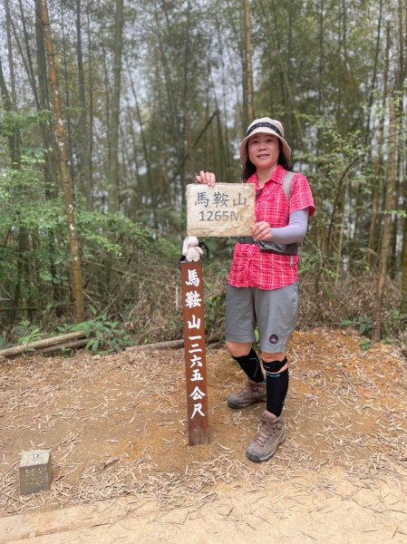 230416-小百岳#057 梨子腳山。18禁-竟能在茶樹上偶遇黑線黃尺蛾。美美兔O繞走成8字。2117346