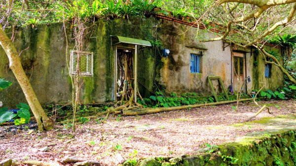 龍脊上的呼吸 (劍龍稜)2993640