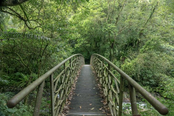 九寮溪步道與梅花湖2927072