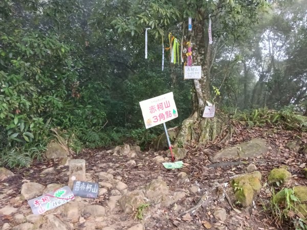 關西鎮太元宮-赤柯山-赤柯山南峰-東獅頭山-西獅頭山-東獅頭山8字走3022866