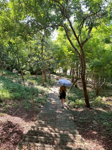 【苗栗新竹】通霄神社x通霄虎頭山步道x新竹香山濕地賞蟹步道2925434