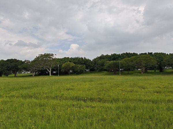 [跟著2025雙北世壯運探索雙北市-1/21] 2025_0607 飛盤競技道（華江雁鴨河濱步道）2807798