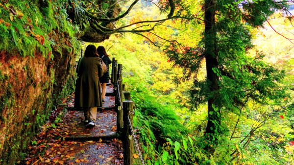 山形縣銀山溫泉2929641