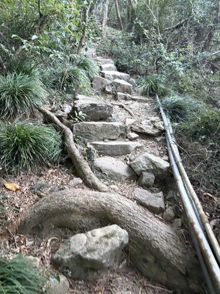 20251213屏東里龍山2961277