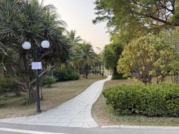 [茂名馬之行-12] 2026_0119 蓮花山公園2996930