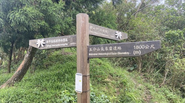 暖東峽谷到十分老街|Nuandong Valley |淡蘭古道|中路第一段|峯花雪月2578855