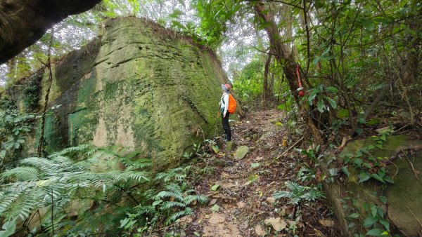 燕溪古道-大崙尾山西峰-仙座台山-圓明寺步道2926533