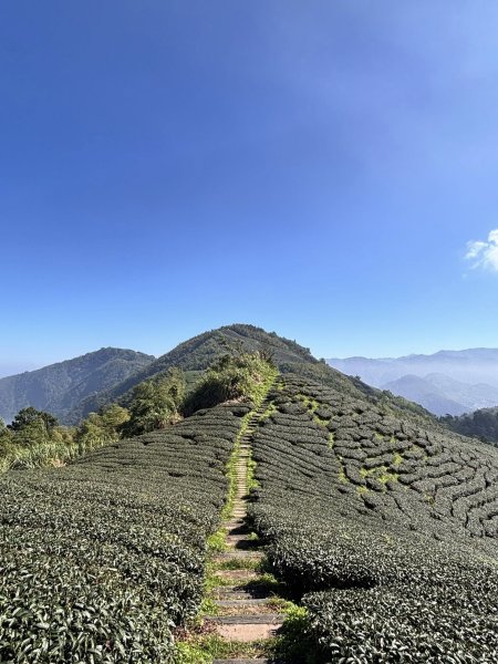 20250928雲嘉五連峰小O2897361