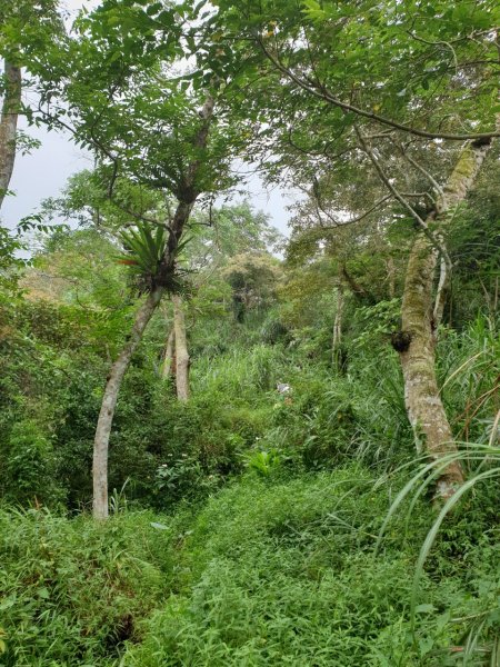 台灣小百岳No.070刣牛湖山1088405