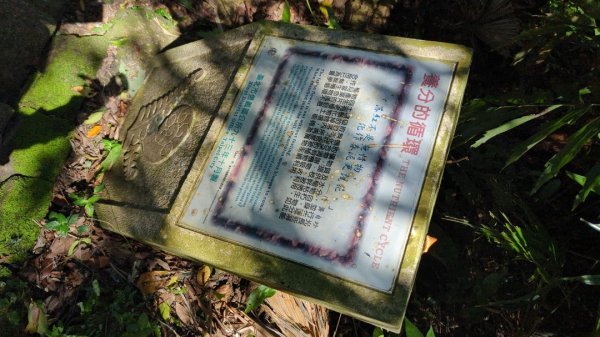 很像臺北大縱走第六段3120037