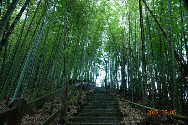 嘉義 竹崎 篤鼻山1731323